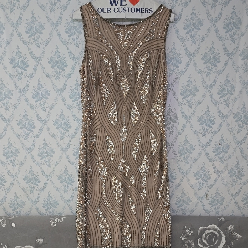 Frank Lyman  Elegant Sequin Embellished Dress